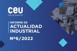 CEU Informe Industrial N6 2022